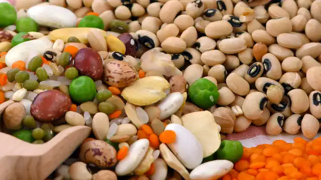 منابع پروتئین برای یک رژیم غذایی سالم