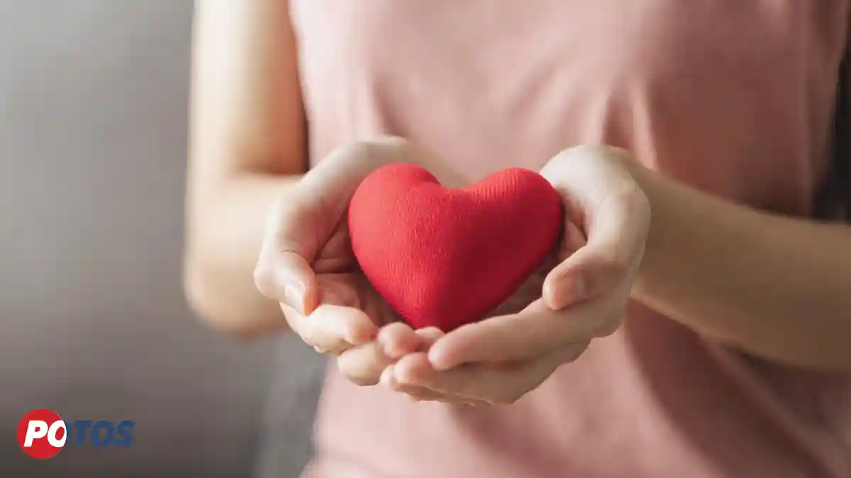 نقش ورزش در سلامت قلب و زندگی سالم