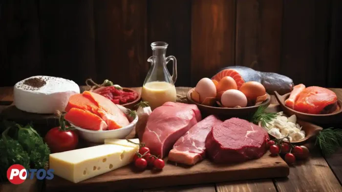 منابع پروتئین برای یک رژیم غذایی سالم